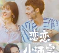 金边蝴蝶兰，赏花观叶两不误